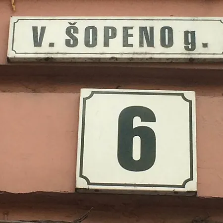 Vilhelmas Sopenas Apartamentai Vilnius
